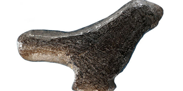 Article teaser image