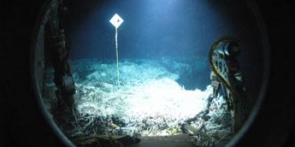 Article teaser image