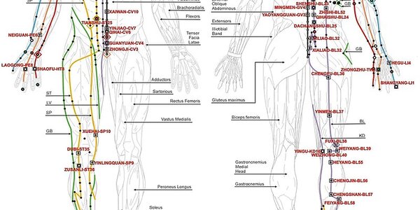 Article teaser image