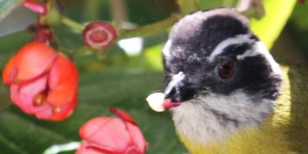 Article teaser image