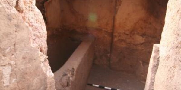 Article teaser image