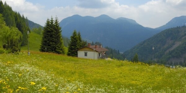 Article teaser image