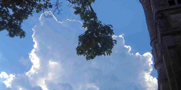 Article teaser image