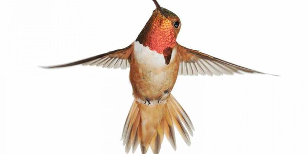 Article teaser image