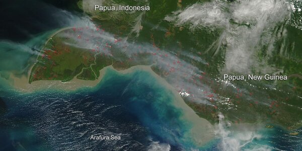 Article teaser image