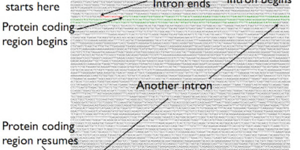 Article teaser image