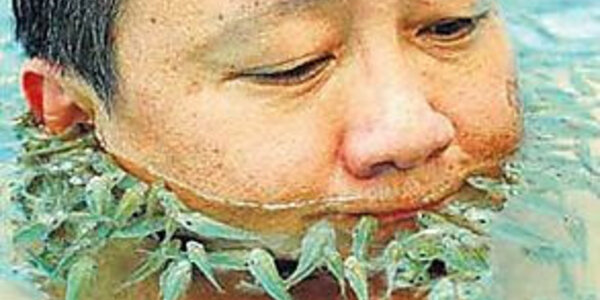 Article teaser image