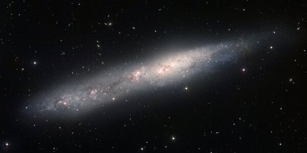 Article teaser image