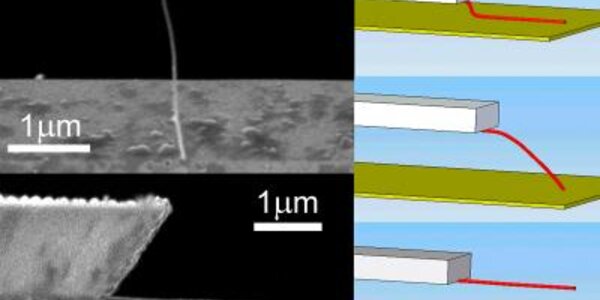 Article teaser image