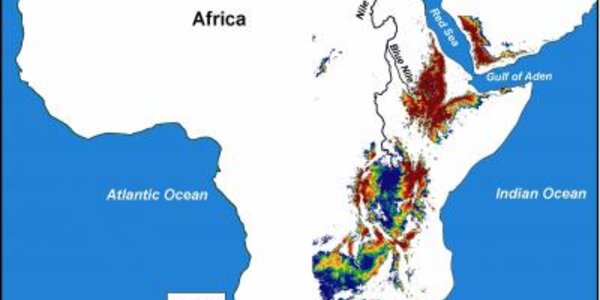 Article teaser image