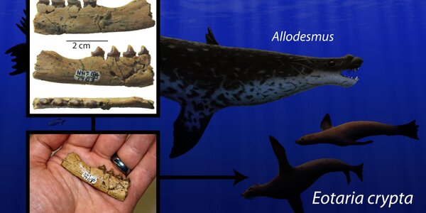 Article teaser image