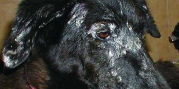 Article teaser image