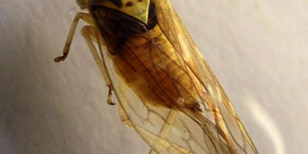 Article teaser image