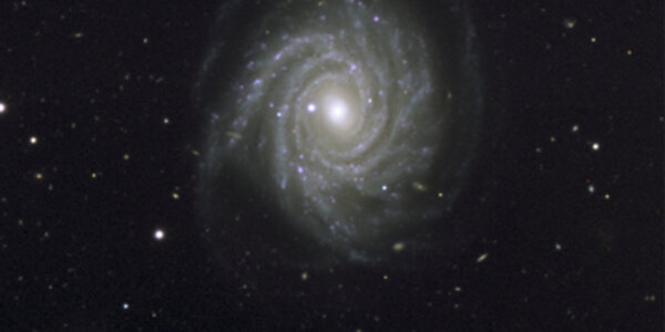 Article teaser image