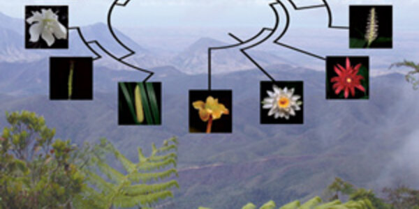 Article teaser image