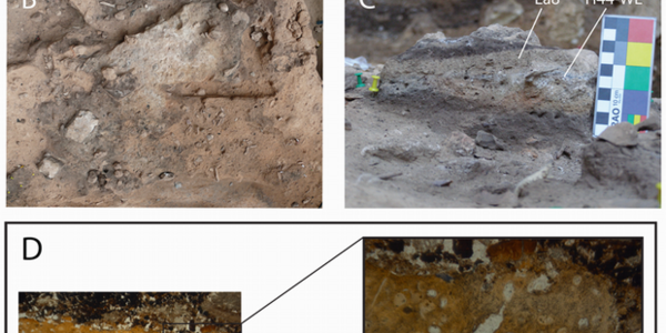 Article teaser image