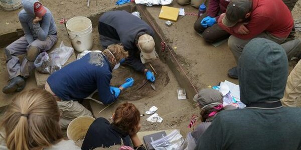 Article teaser image