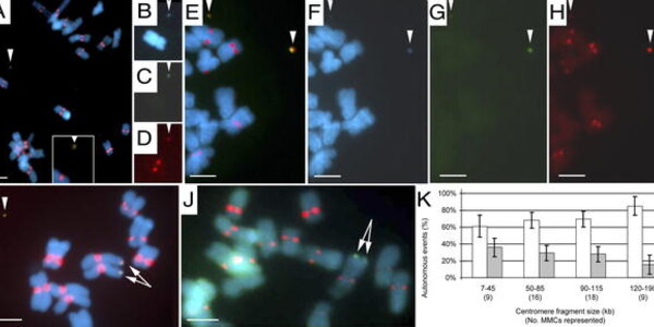 Article teaser image