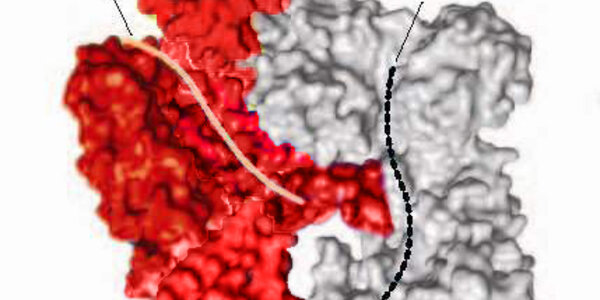 Article teaser image