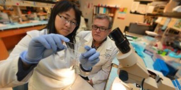 Article teaser image