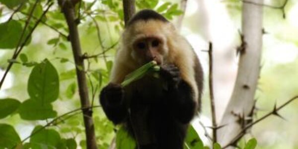 Article teaser image