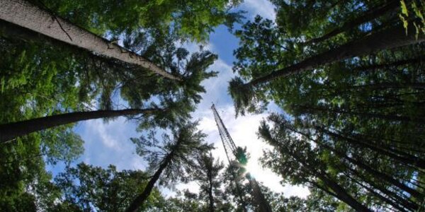 Article teaser image