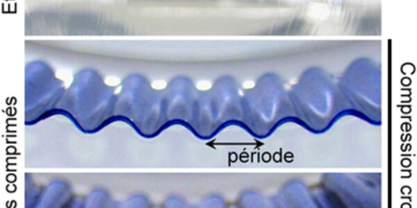 Article teaser image