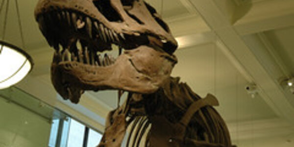 Article teaser image