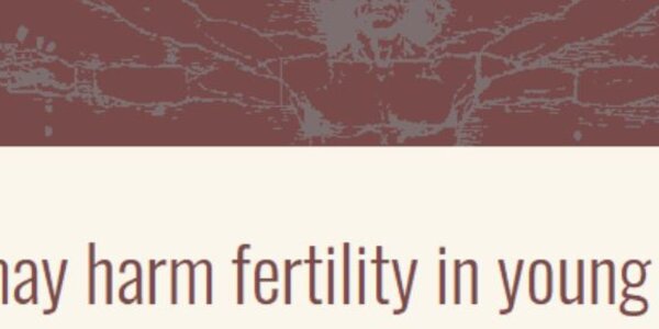 Article teaser image