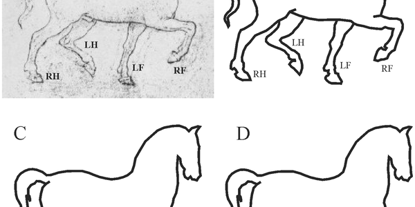 Article teaser image