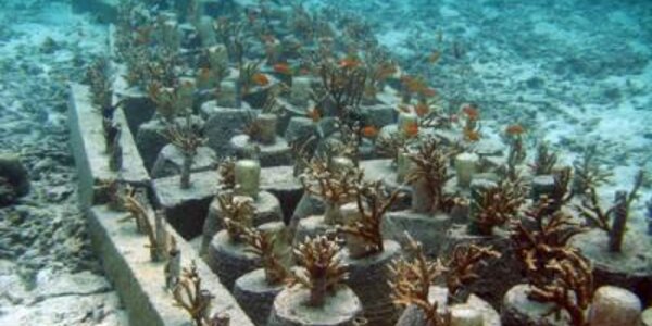 Article teaser image