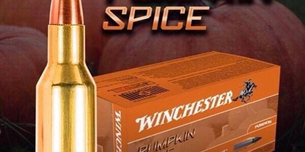 Article teaser image