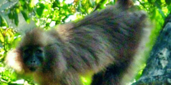 Article teaser image