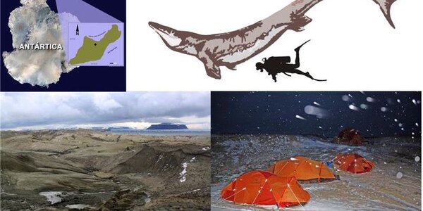 Article teaser image