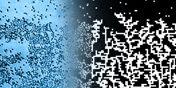 Article teaser image