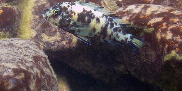 Article teaser image