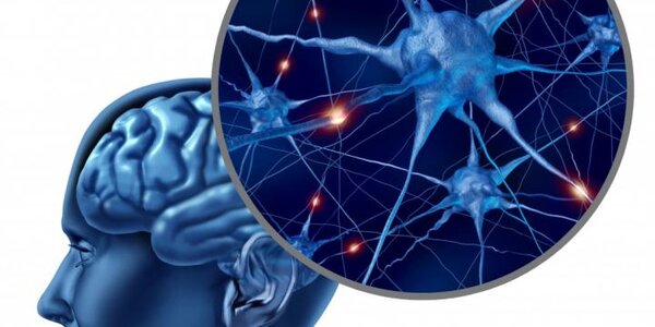 Article teaser image