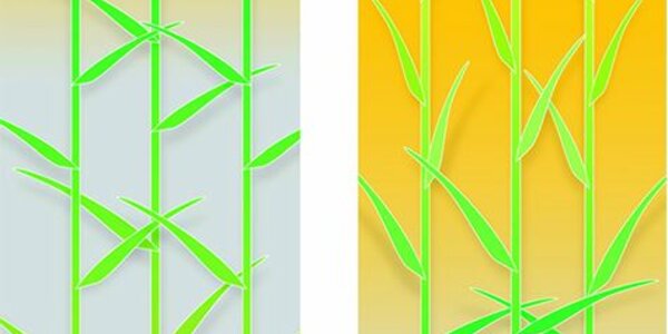 Article teaser image