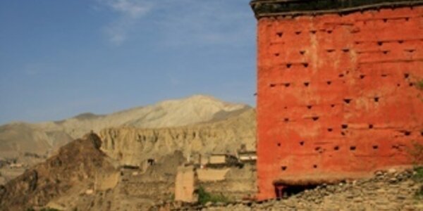 Article teaser image