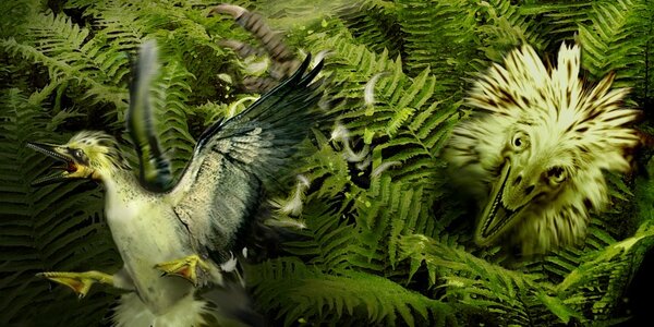 Article teaser image