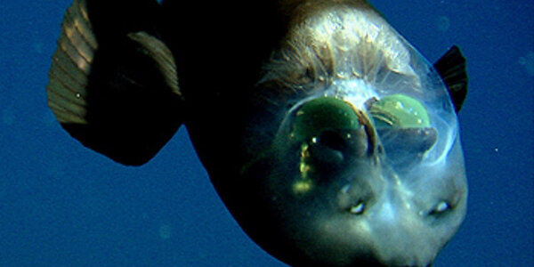 Article teaser image