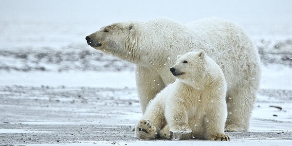 Article teaser image