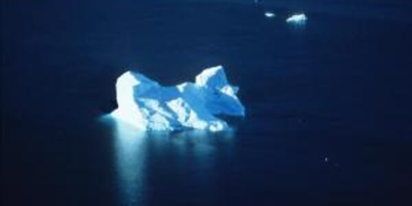 Article teaser image