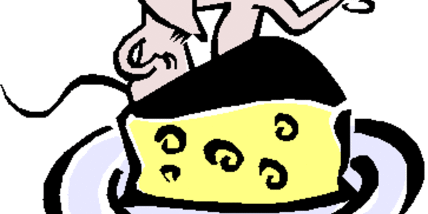 Article teaser image