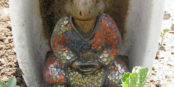 Article teaser image