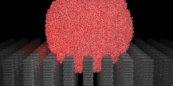 Article teaser image