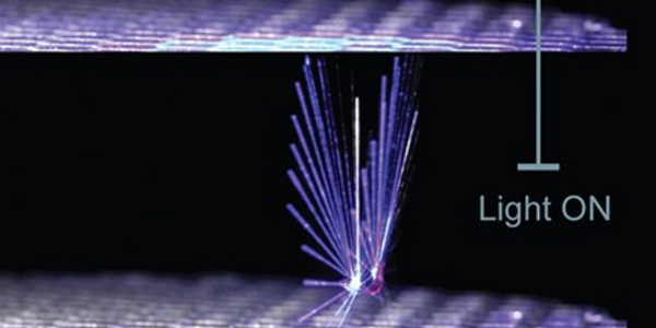 Article teaser image