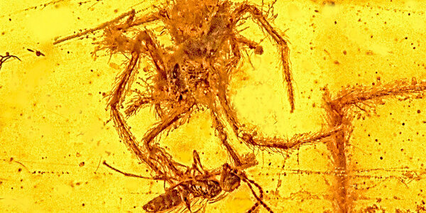 Article teaser image