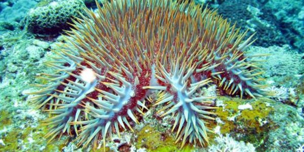 Article teaser image