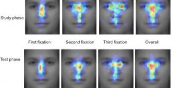 Article teaser image